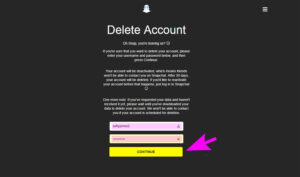 Permanently Delete Your Snapchat Account