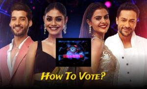 How to Vote for Bigg Boss 